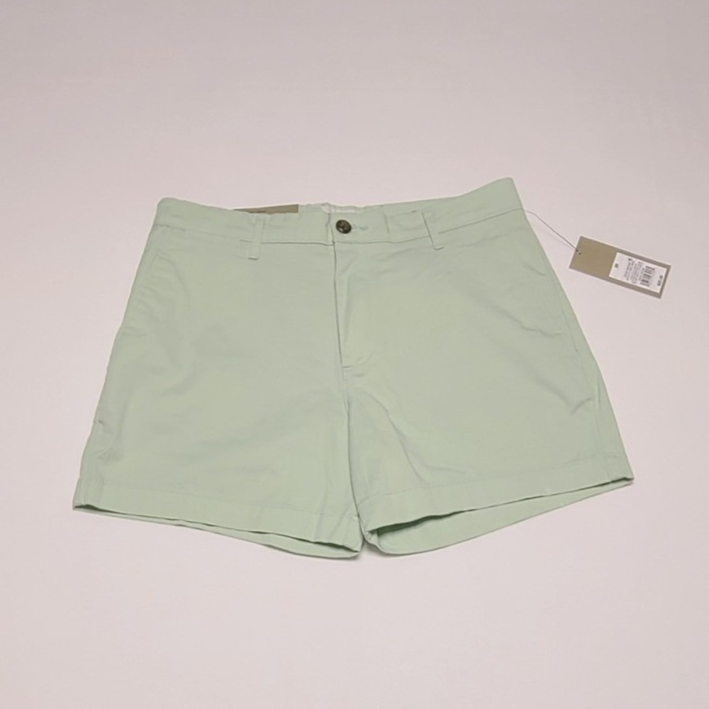 Goodfellow & Co Men's Every Wear Flat Front 5" Inseam Shorts Mint Green